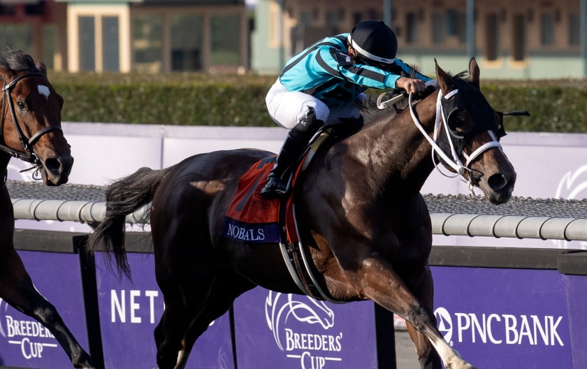 Breeders’ Cup 2025 - News, Results And Entries | Daily Racing Form